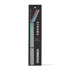 Tumbler Straw 2-Pack